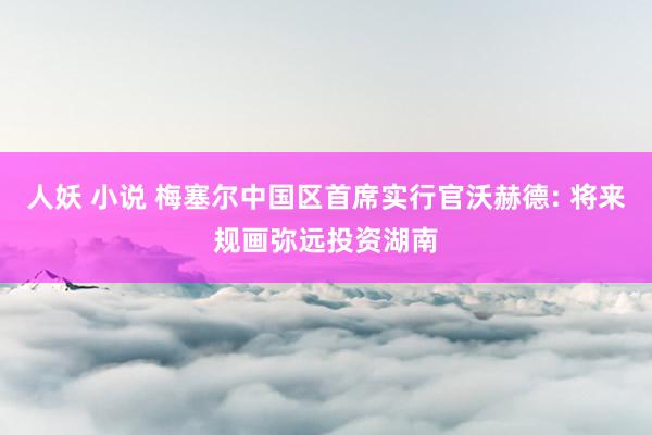 人妖 小说 梅塞尔中国区首席实行官沃赫德: 将来规画弥远投资湖南