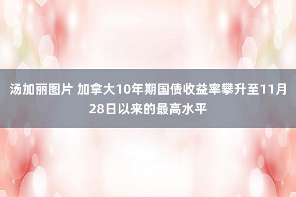 汤加丽图片 加拿大10年期国债收益率攀升至11月28日以来的最高水平