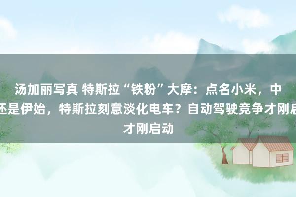 汤加丽写真 特斯拉“铁粉”大摩：点名小米，中国还是伊始，特斯拉刻意淡化电车？自动驾驶竞争才刚启动