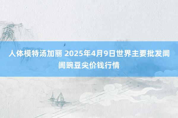 人体模特汤加丽 2025年4月9日世界主要批发阛阓豌豆尖价钱行情