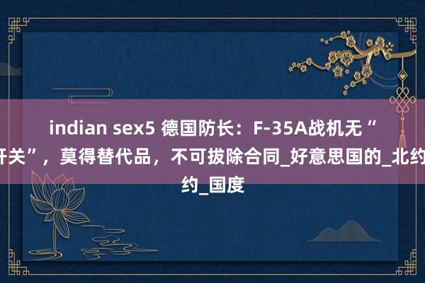 indian sex5 德国防长：F-35A战机无“云尔开关”，莫得替代品，不可拔除合同_好意思国的_北约_国度