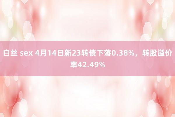白丝 sex 4月14日新23转债下落0.38%，转股溢价率42.49%