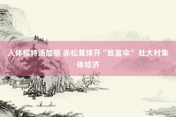 人体模特汤加丽 赤松茸撑开“致富伞” 壮大村集体经济