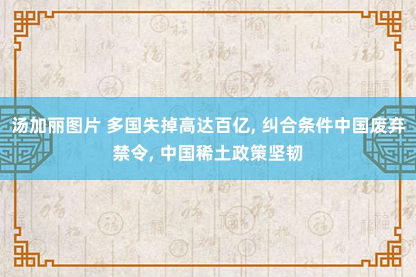 汤加丽图片 多国失掉高达百亿， 纠合条件中国废弃禁令， 中国稀土政策坚韧